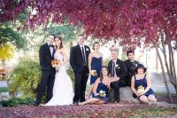 Bridal party sitting under a tree